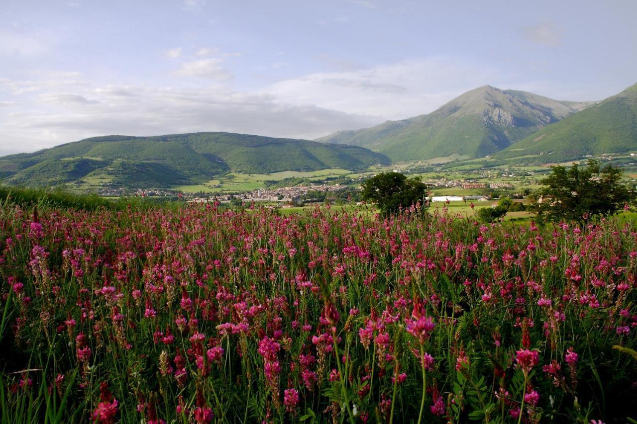 Agriturismo La Cascina Di Opaco Norcia Dış mekan fotoğraf