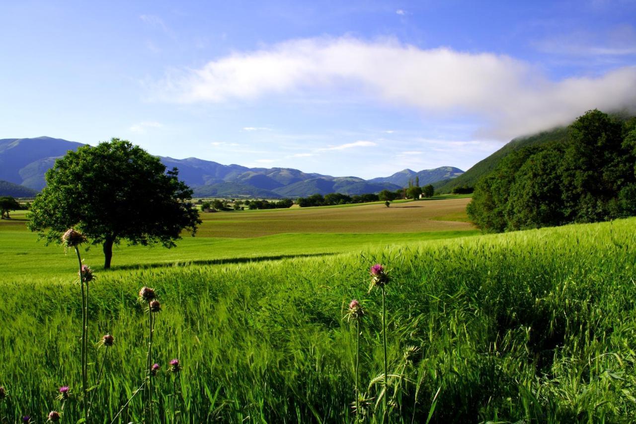 Agriturismo La Cascina Di Opaco Norcia Dış mekan fotoğraf
