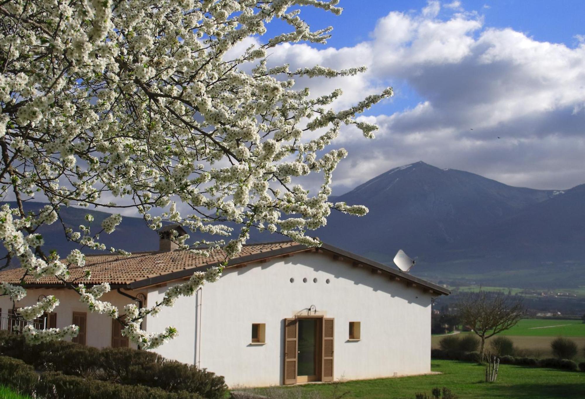Agriturismo La Cascina Di Opaco Norcia Dış mekan fotoğraf