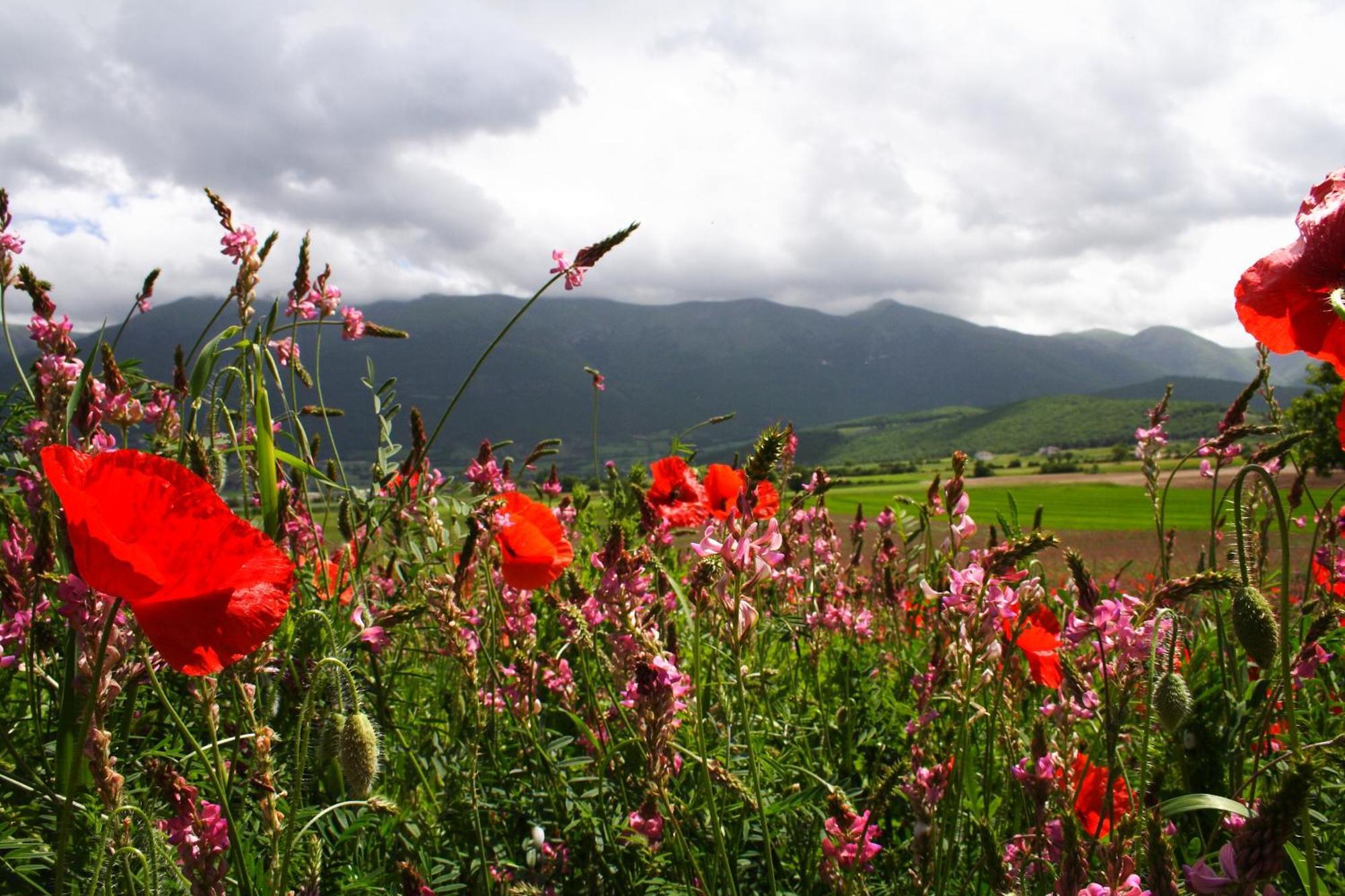 Agriturismo La Cascina Di Opaco Norcia Dış mekan fotoğraf