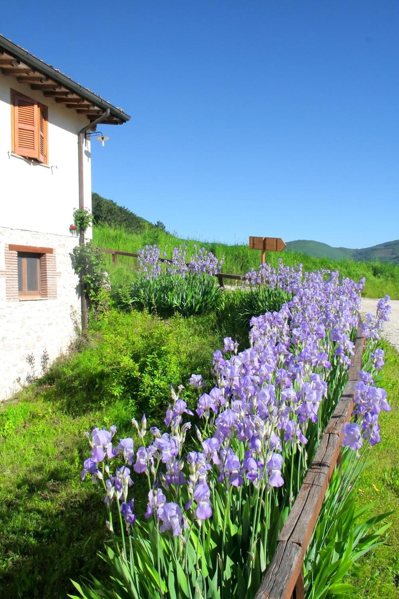 Agriturismo La Cascina Di Opaco Norcia Dış mekan fotoğraf